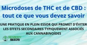 découvrez les bienfaits réels du cbd ainsi que les mythes qui l'entourent. informez-vous sur cette substance naturelle, ses effets sur la santé et démystifiez les idées reçues pour faire des choix éclairés.