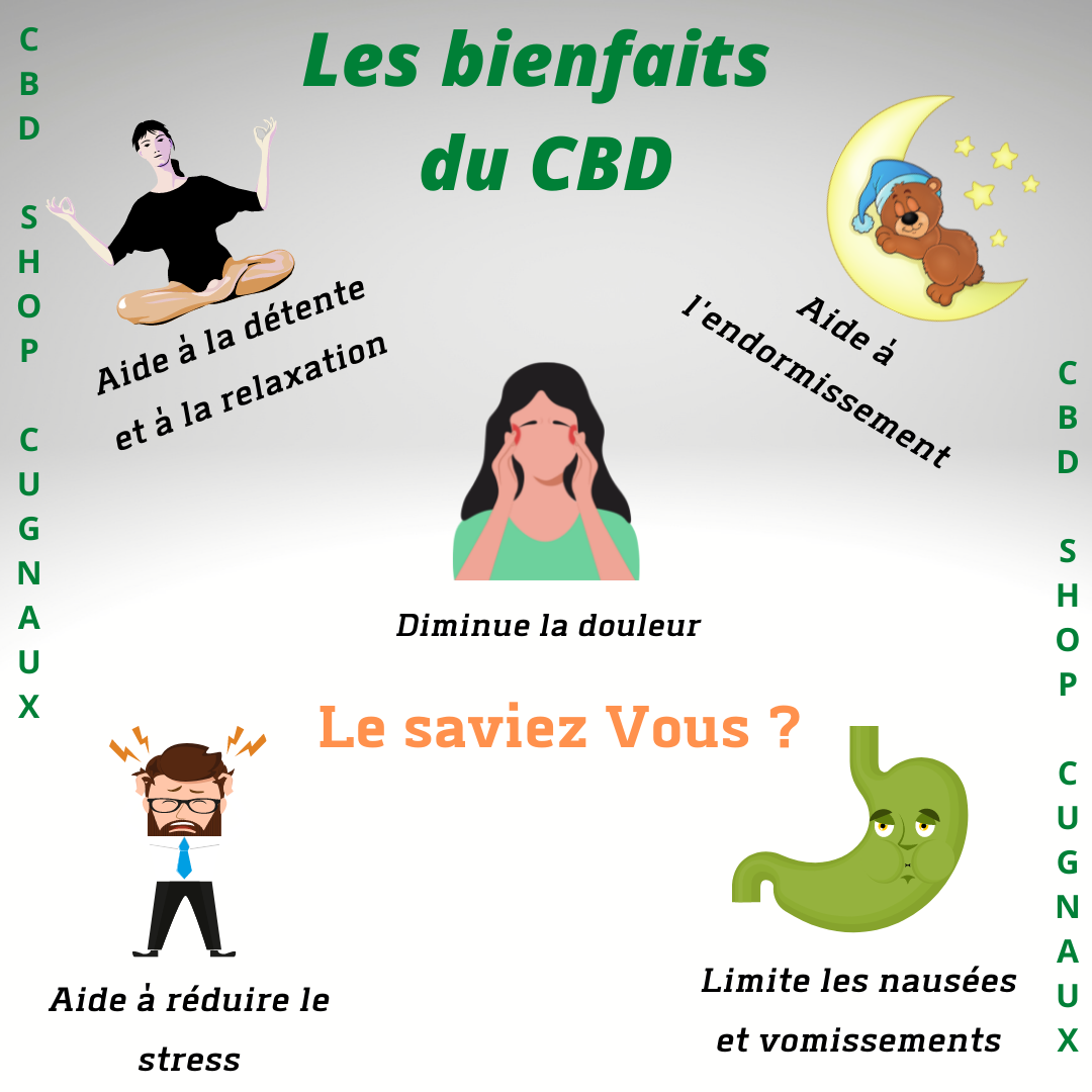 découvrez les bienfaits réels du cbd et démystifiez les idées reçues qui entourent cette substance. que vous soyez novice ou passionné, plongez dans un guide informatif sur les vertus et les mythes liés au cbd.