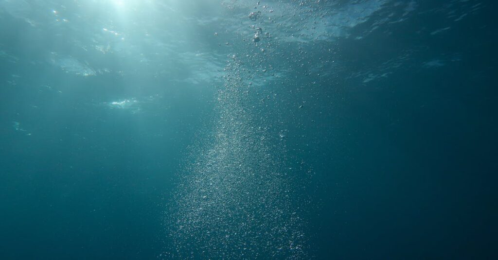 plongez dans l'immensité de l'océan, un monde fascinant rempli de merveilles marines et de mystères à découvrir. explorez ses profondeurs, admirez sa biodiversité et laissez-vous envoûter par la beauté des paysages marins.