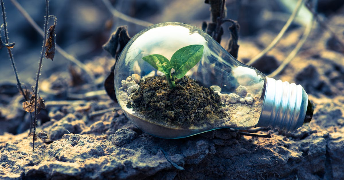 découvrez les dernières tendances en matière d'innovation, des idées révolutionnaires aux technologies émergentes qui transforment notre quotidien. restez à la pointe du progrès et inspirez-vous des projets novateurs qui redéfinissent l'avenir.